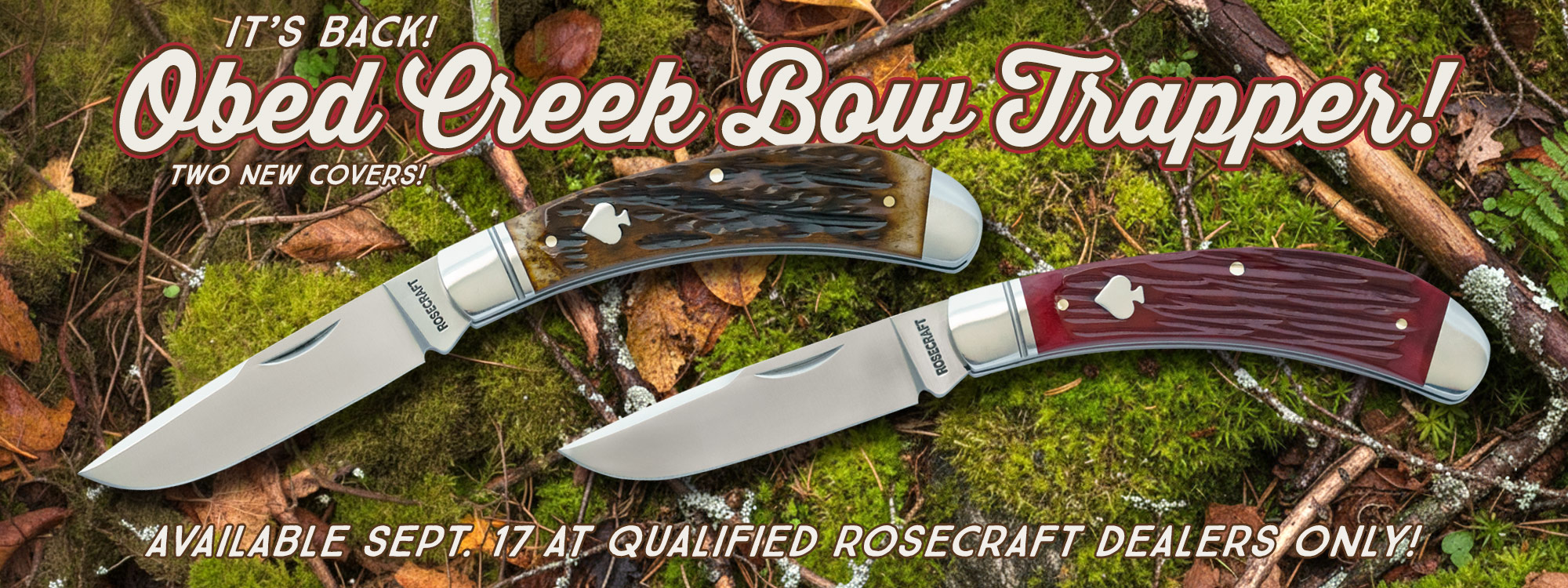 2000x750_Site-Banner-Tall-2-Obed-Creek